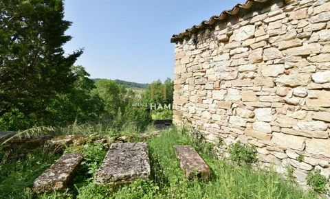 photo no. 4