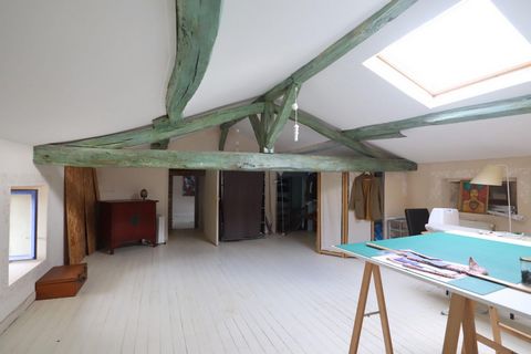 photo no. 13