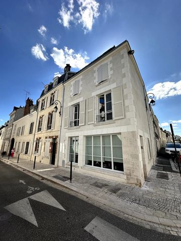 Orléans Hyper centre Appartement Duplex.