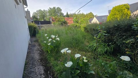 photo no. 13