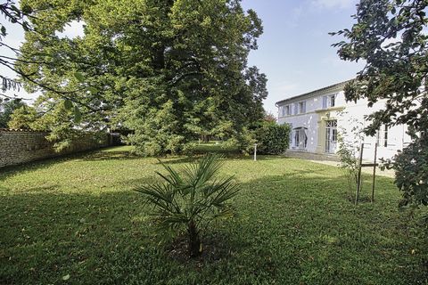 photo no. 13