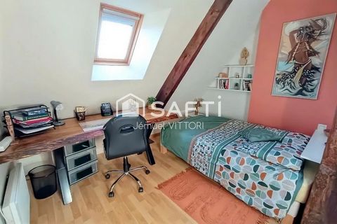 photo no. 11