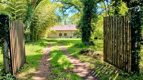 Maison landaise authentique avec piscine, dépendances et nature préservée