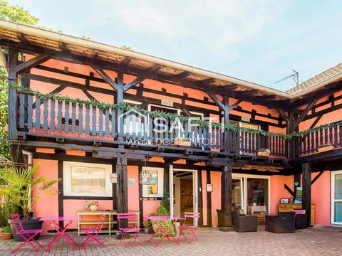 Chambres d'hotes / Gîte rentable en activité depuis 15 ans – Sélestat – Fort taux de remplissage – Retour sur investissement immédiat