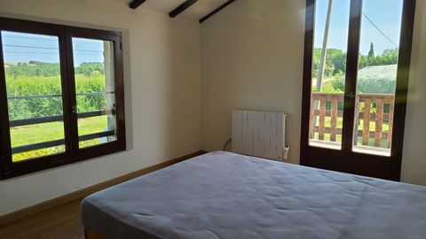 photo no. 11