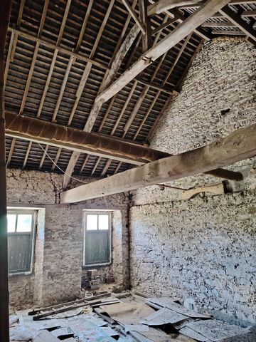photo no. 13