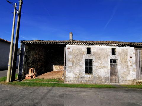 photo no. 11