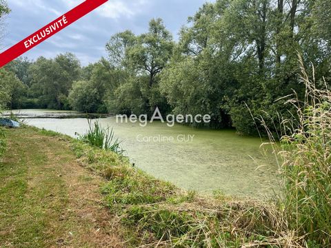 TERRAIN DE LOISIR AVEC ETANG