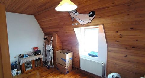 photo no. 12
