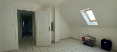 photo no. 13