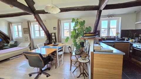 APPARTEMENT T3 VIEUX MARCHE ROUEN