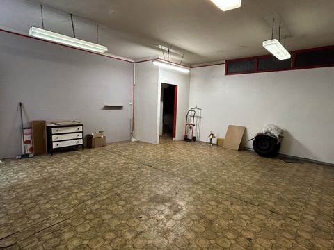 photo no. 13