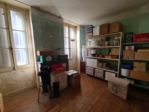 photo no. 11