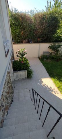 photo no. 12