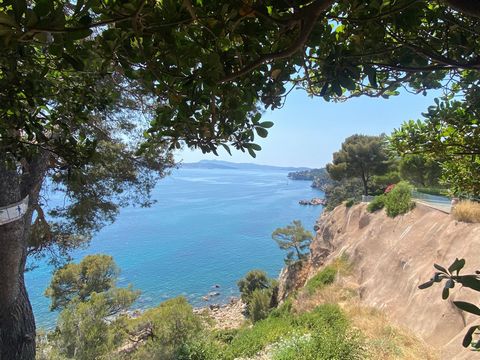 T5 , Vue mer