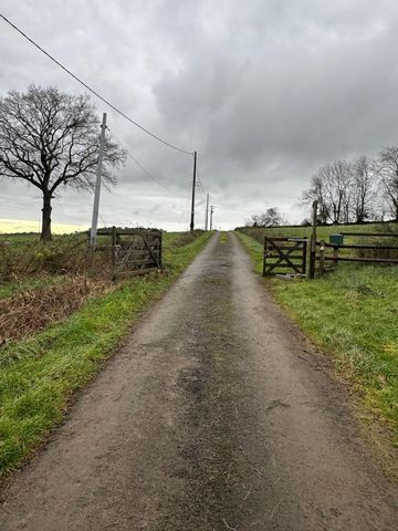 photo no. 1
