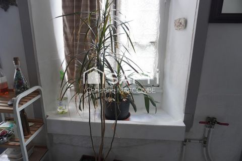 photo no. 9