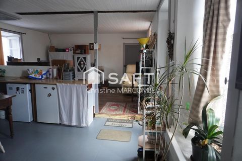 photo no. 13