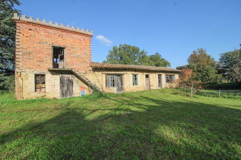photo no. 6
