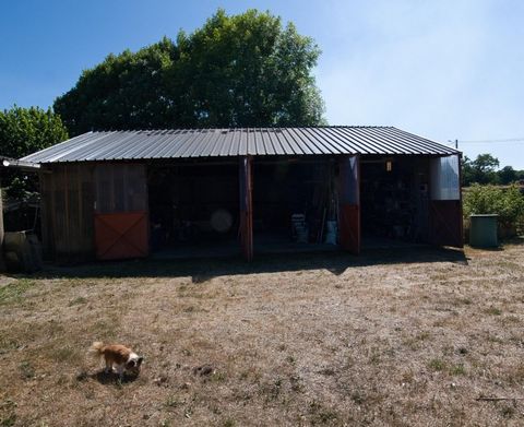 photo no. 5