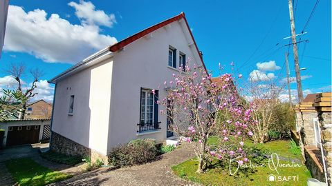 photo no. 11