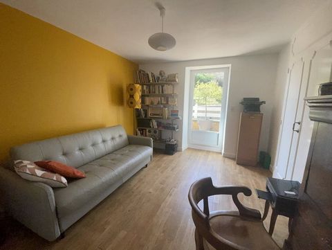 photo no. 11