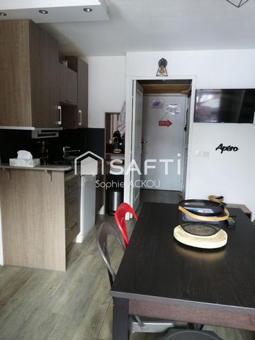 photo no. 8