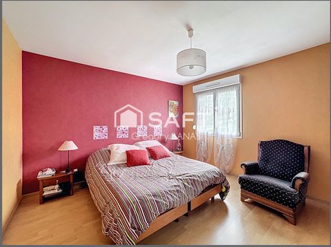 photo no. 6