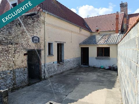 photo no. 4