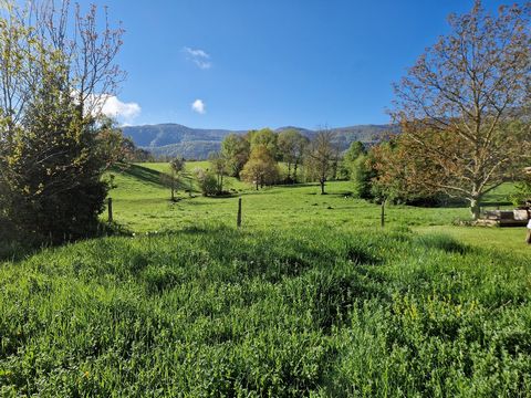 photo no. 16