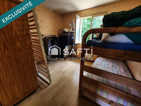 photo no. 6