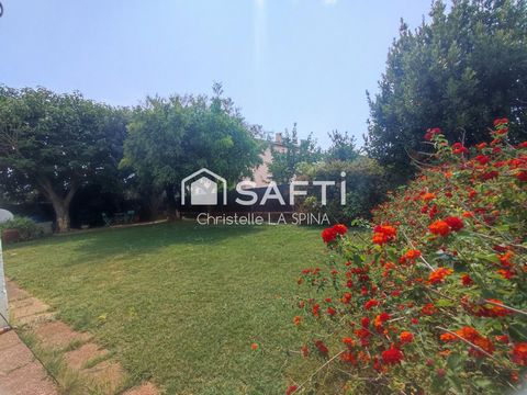 photo no. 14