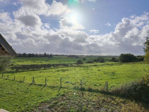 photo no. 9