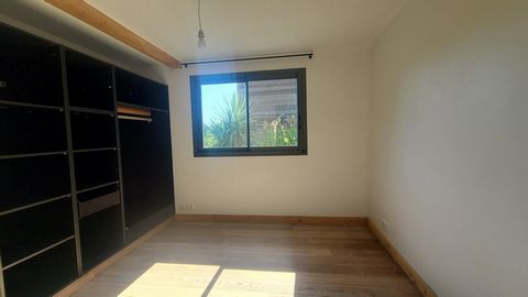 photo no. 9
