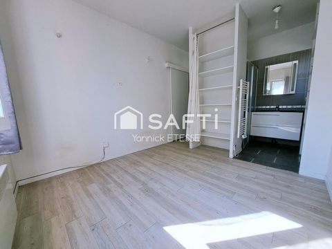 photo no. 12