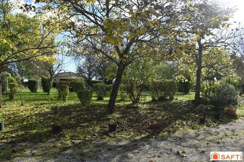 photo no. 9