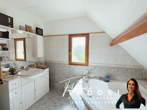 photo no. 10