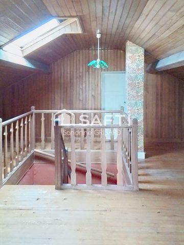 photo no. 6