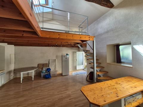 photo no. 13