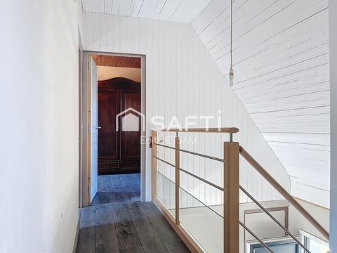 photo no. 10