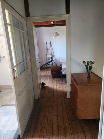 photo no. 14