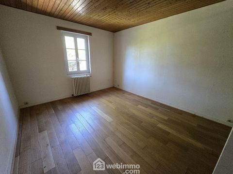 photo no. 19