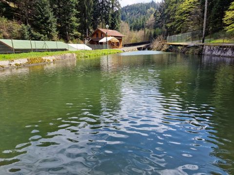 Dpt Bas-Rhin (67), à vendre proche de SAALES propriete P5 avec CHALET T5 + SALLE des FETES + ETANG / terrain de 1 ha où 10000 m2 environ