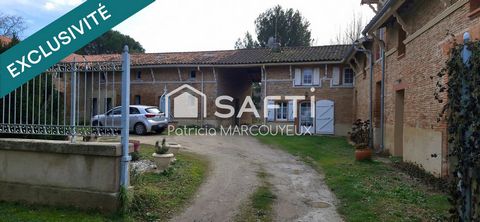 photo no. 14