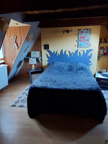 photo no. 7