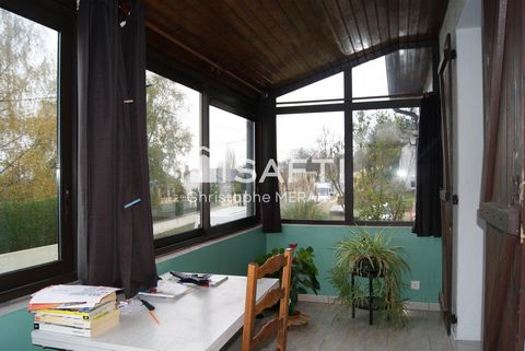 photo no. 9