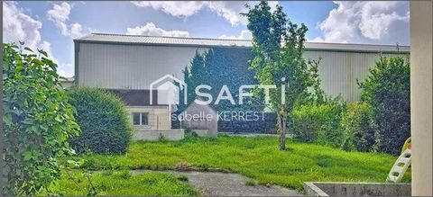 photo no. 12