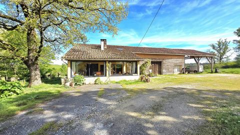 photo no. 15