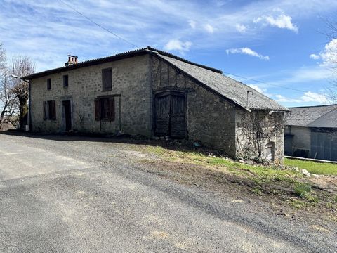 photo no. 1