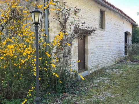photo no. 10